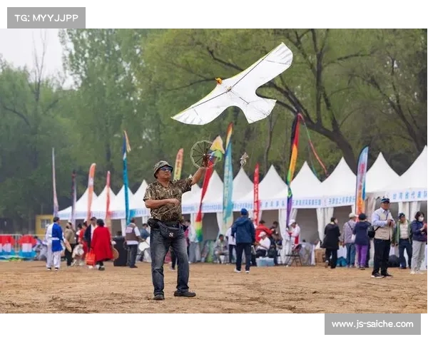 中国风筝协会动态风筝操控赛规则国际化进程与发展探讨 中国风筝协会动态风筝操控赛规则国际化进程与发展探讨